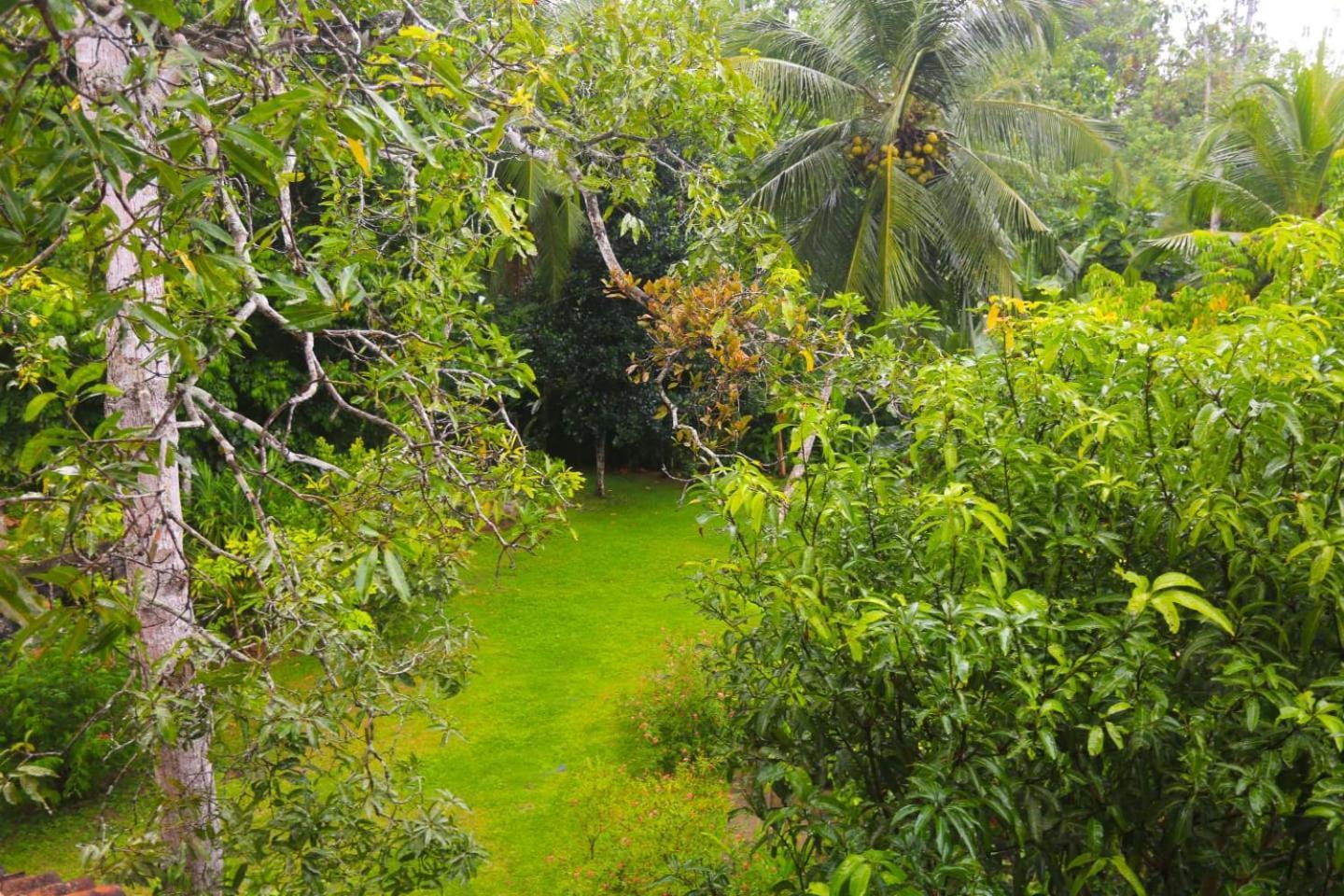 Halcyon Galle Bagian luar foto